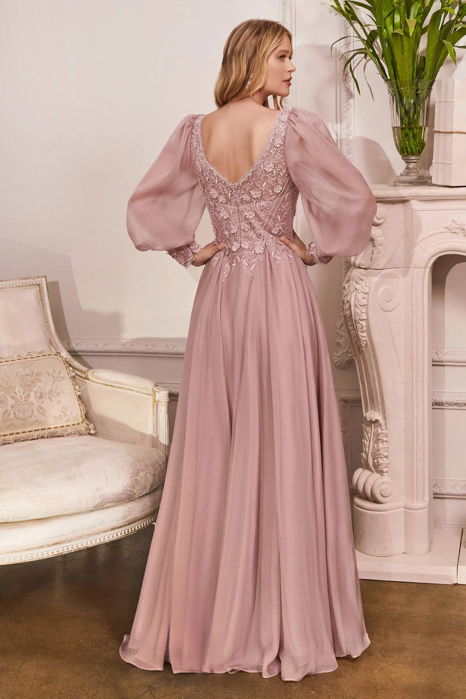 Cinderella Divine Ladivine CD0183 Long Sleeve Chiffon Gown