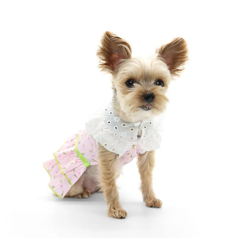 Ditsy Floral Dog Dress