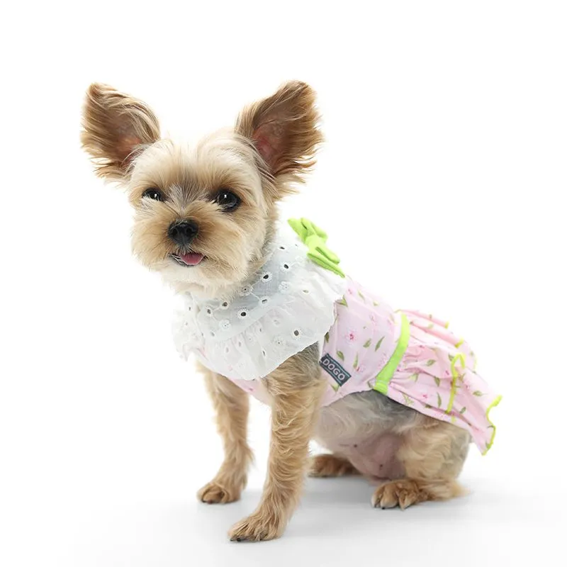 Ditsy Floral Dog Dress