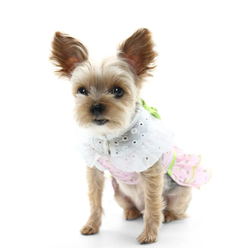 Ditsy Floral Dog Dress