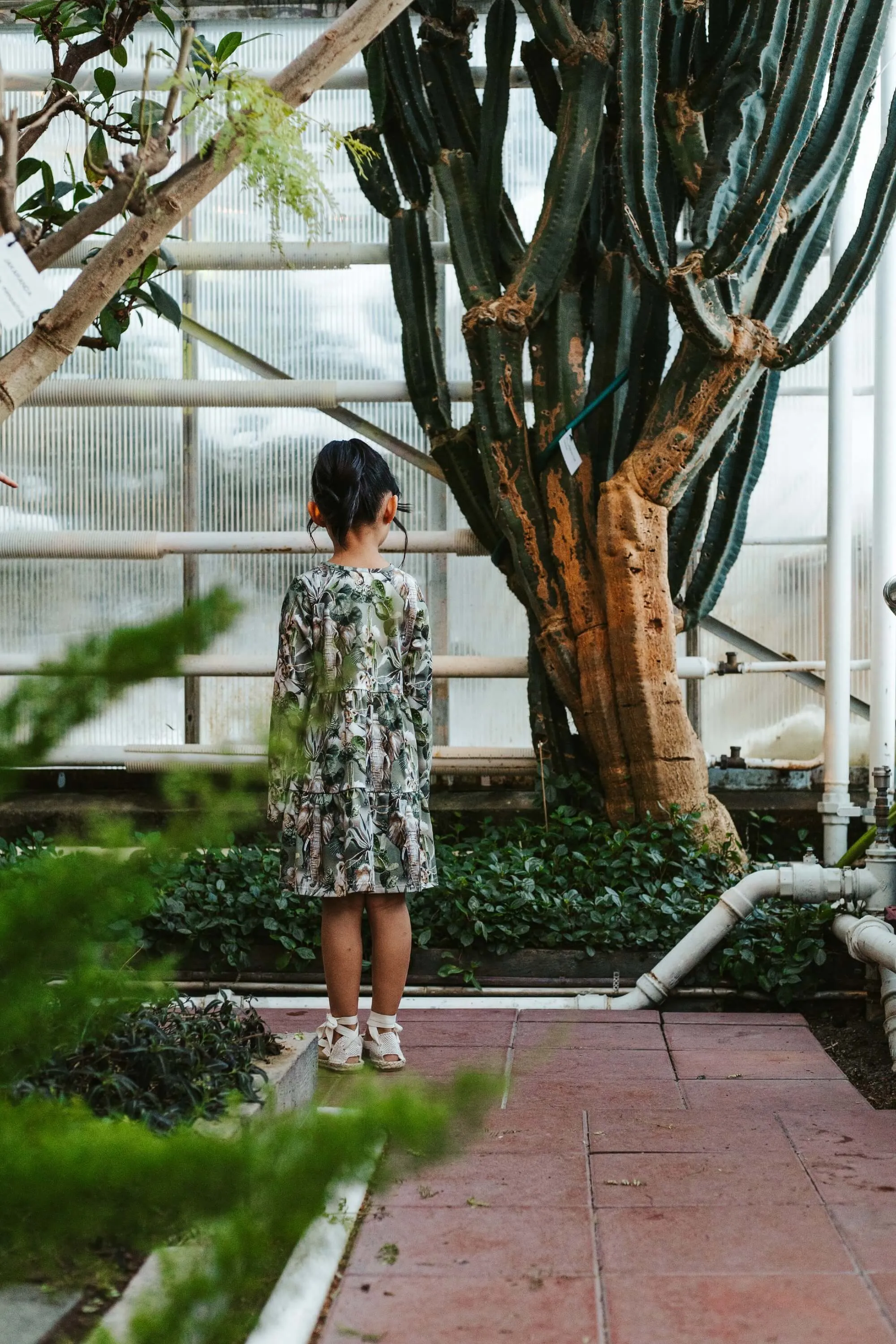 Kids' Print Layer Dress Animal Kingdom